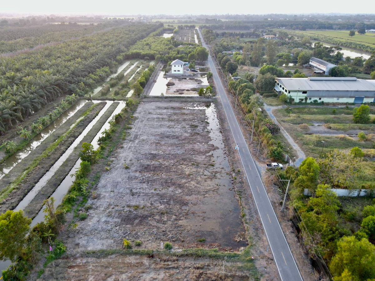 ขายที่ดินปทุมธานี รังสิต ธรรมศาสตร์ : 📢 ขายที่สวยทำเลดี อนาคตไกล คลอง 9 ต.บึงชำอ้อ อ.หนองเสือ ปทุมธานี