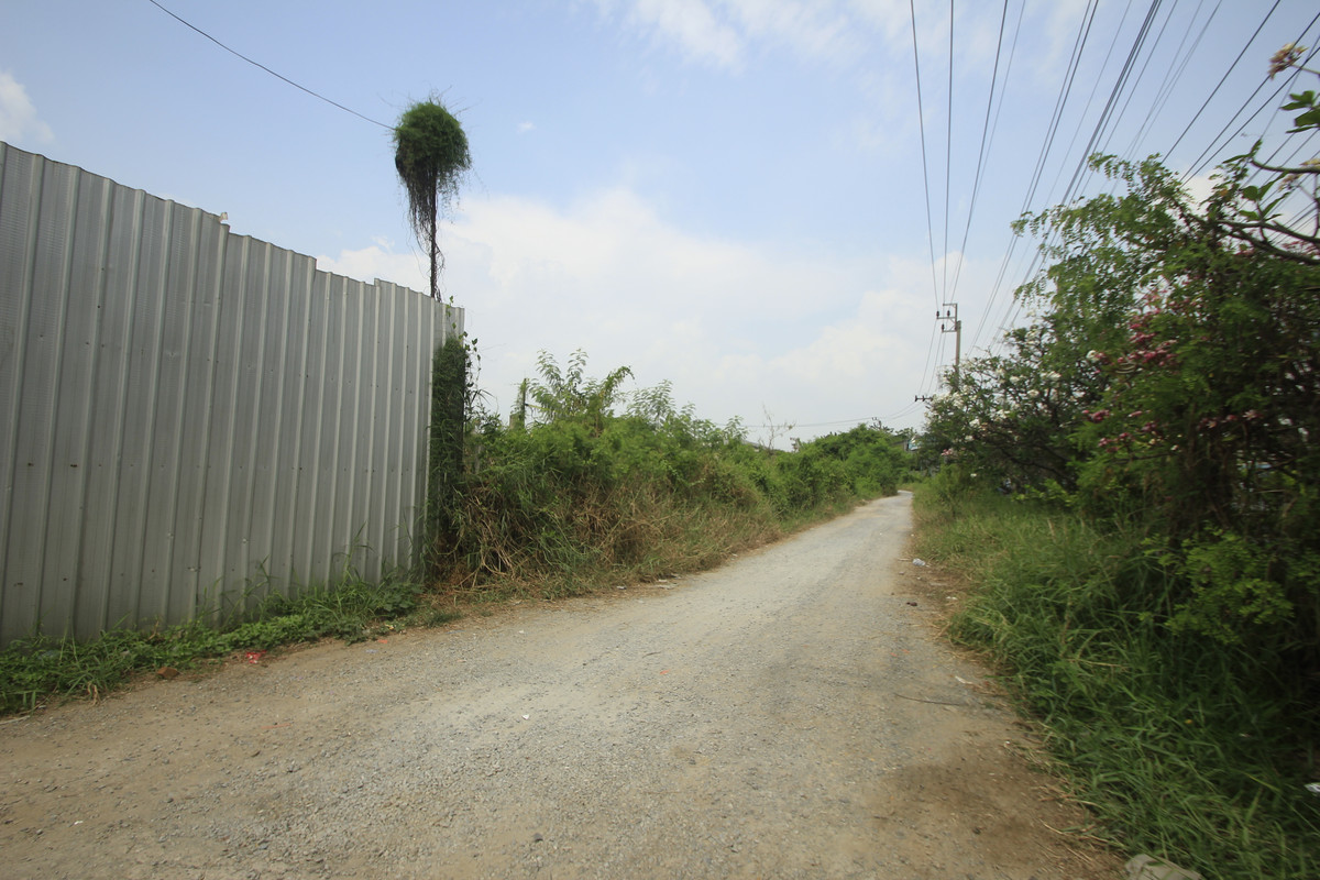 ขายที่ดินพระราม 2 บางขุนเทียน : ขายที่ดินพระราม2 ระหว่างพระราม2ซ.98กับ100 ที่ดินถมแล้ว 7-1-5 ไร่ ลงเสาเข็มทั่วบริเวณที่ดิน ขาเข้าเมืองใกล้ทางด่วนสุขสวัสดิ์ บางพลี สร้างโกดัง ออฟฟิศ สำนักงาน 38,000บาท/วา