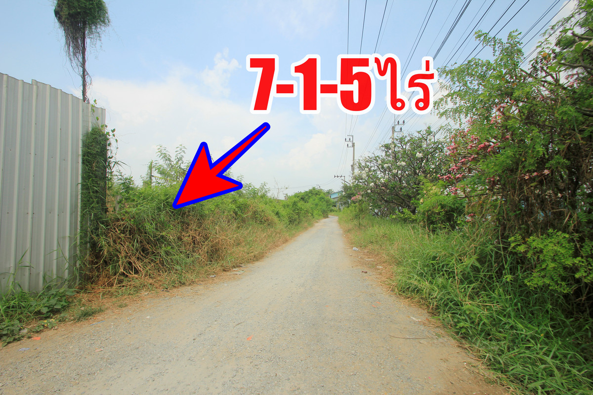 ขายที่ดินพระราม 2 บางขุนเทียน : ขายที่ดินพระราม2 ระหว่างพระราม2ซ.98กับ100 ที่ดินถมแล้ว 7-1-5 ไร่ ลงเสาเข็มทั่วบริเวณที่ดิน ขาเข้าเมืองใกล้ทางด่วนสุขสวัสดิ์ บางพลี สร้างโกดัง ออฟฟิศ สำนักงาน 38,000บาท/วา