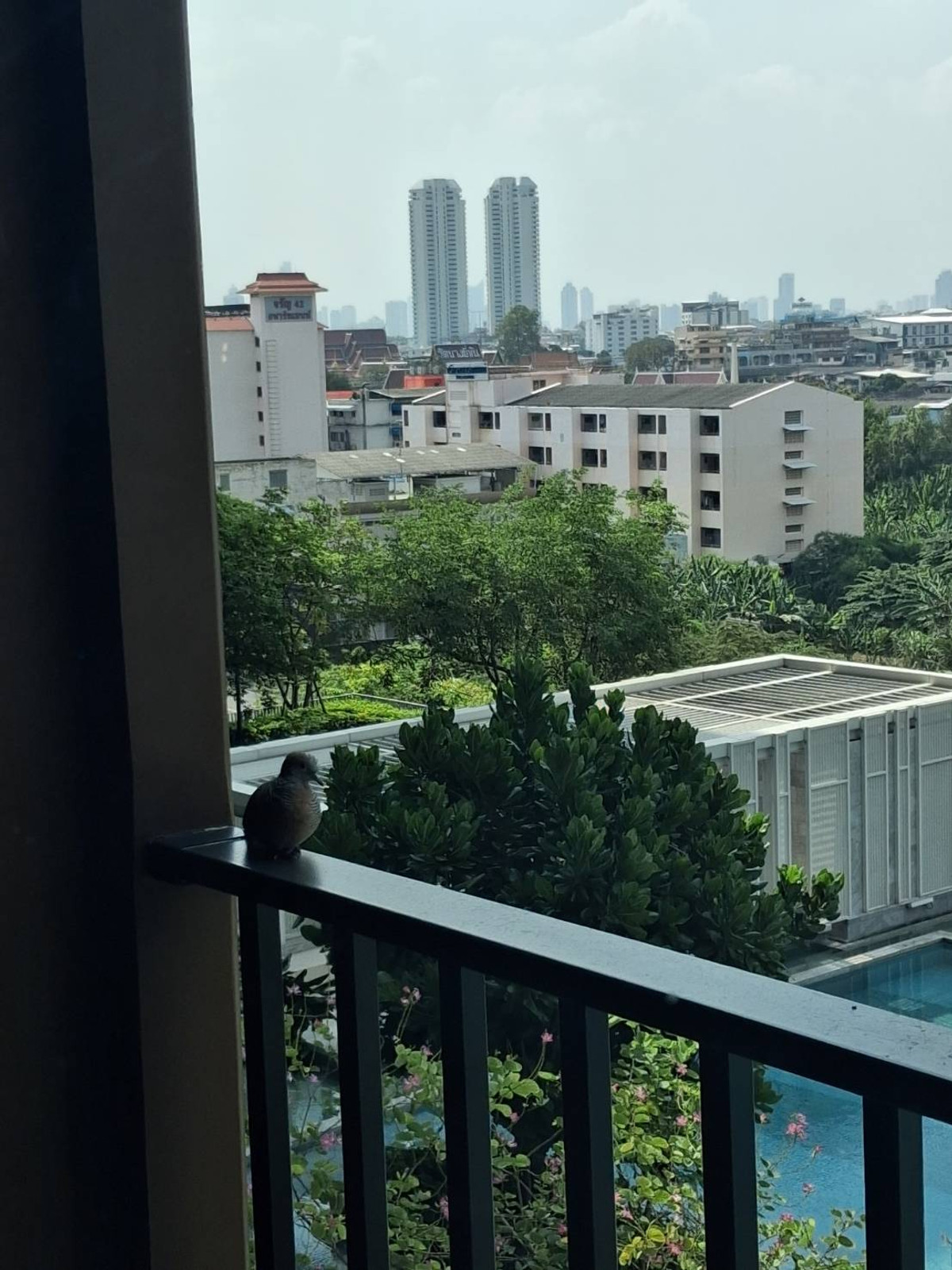 ให้เช่าคอนโดปิ่นเกล้า จรัญสนิทวงศ์ : 🔥ให้เช่า The Parkland Charan Pinklao : 1 Bed plus ว่างพร้อมอยู่🔥