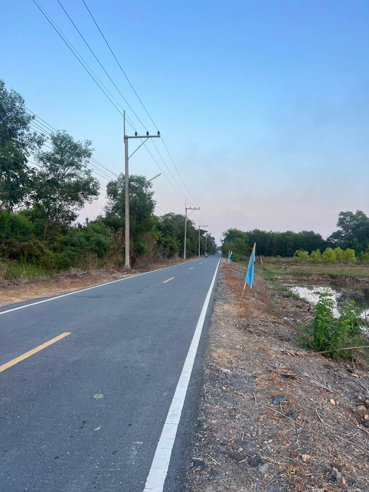 ขายที่ดินปทุมธานี รังสิต ธรรมศาสตร์ : 📢 ขายที่สวยทำเลดี อนาคตไกล คลอง 9 ต.บึงชำอ้อ อ.หนองเสือ ปทุมธานี