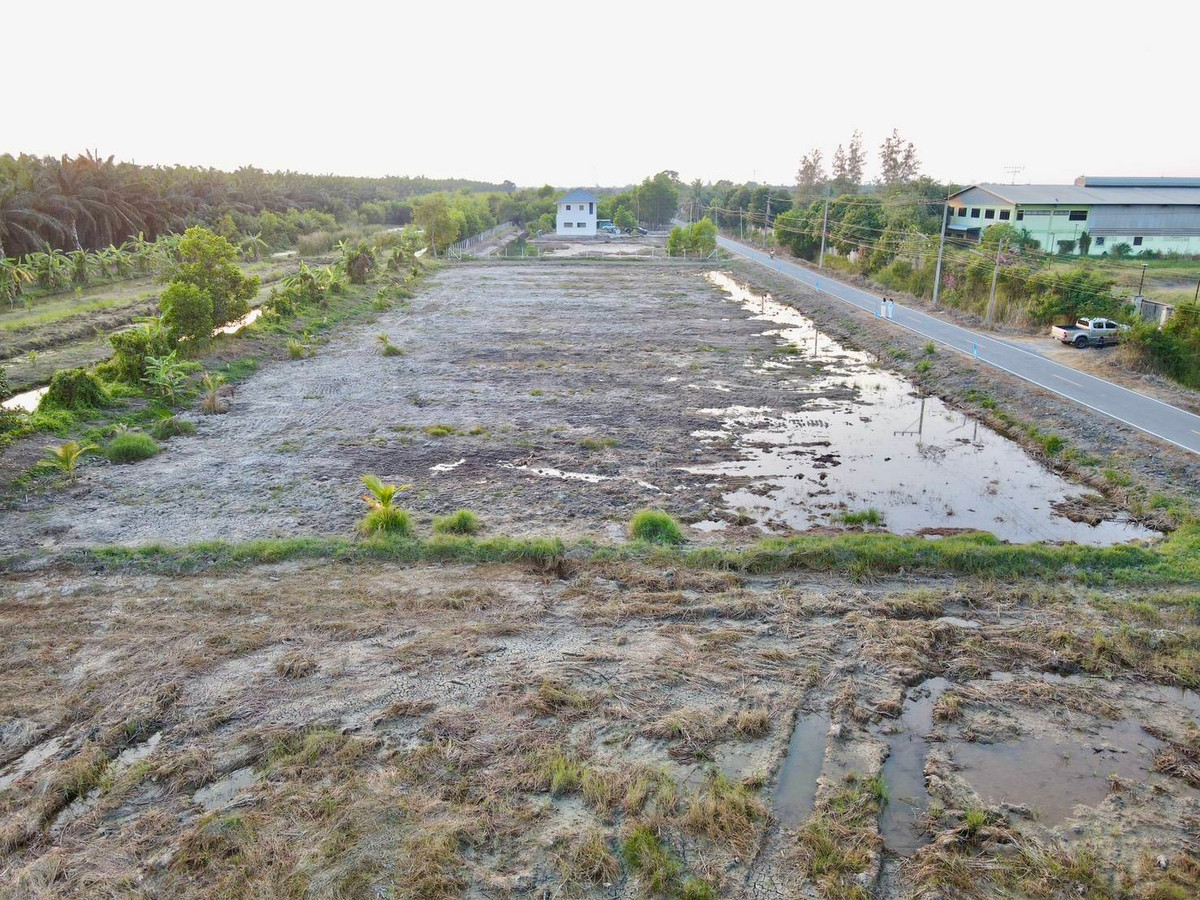 ขายที่ดินปทุมธานี รังสิต ธรรมศาสตร์ : 📢 ขายที่สวยทำเลดี อนาคตไกล คลอง 9 ต.บึงชำอ้อ อ.หนองเสือ ปทุมธานี