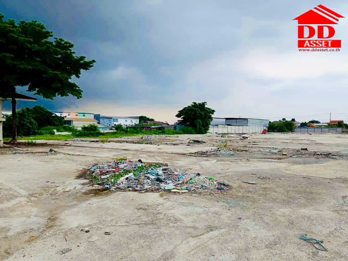 For SaleLandPathum Thani,Rangsit, Thammasat : Empty land for sale, Sawai Sawai, Lam Luk Ka Khlong 4, area 6 rai, property code: L8059