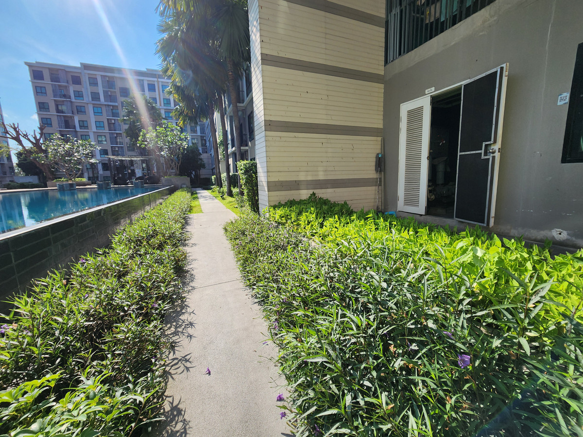 ขายคอนโดพุทธมณฑล ศาลายา : 📢 ถูกที่สุดในโครงการ! iCondo ศาลายา ห้องสวย เฟอร์ฯ ครบ พร้อมจบด่วน!