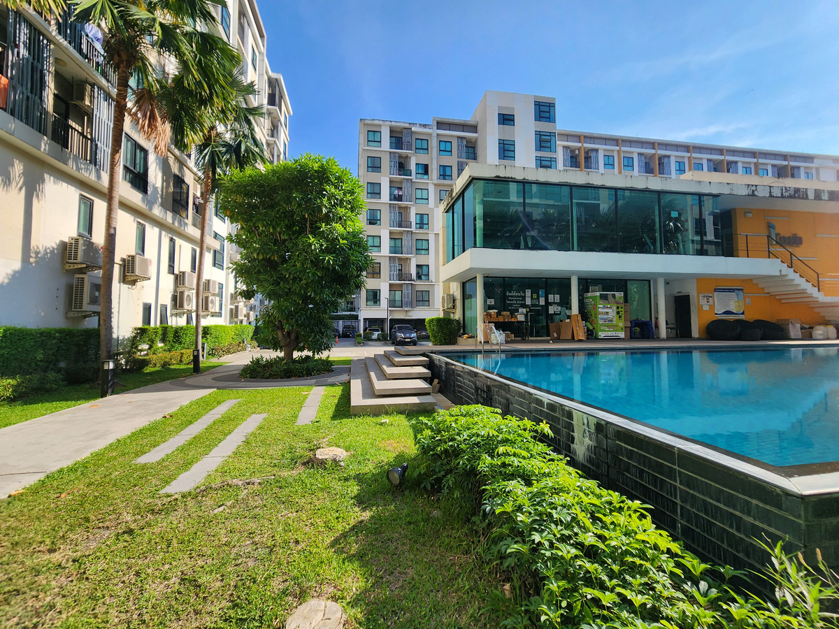 ขายคอนโดพุทธมณฑล ศาลายา : 📢 ถูกที่สุดในโครงการ! iCondo ศาลายา ห้องสวย เฟอร์ฯ ครบ พร้อมจบด่วน!