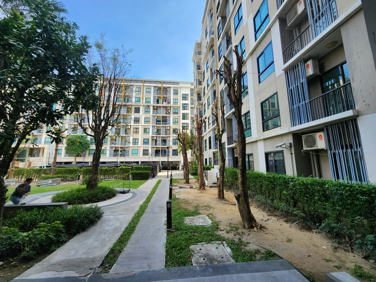 ขายคอนโดพุทธมณฑล ศาลายา : 📢 ถูกที่สุดในโครงการ! iCondo ศาลายา ห้องสวย เฟอร์ฯ ครบ พร้อมจบด่วน!