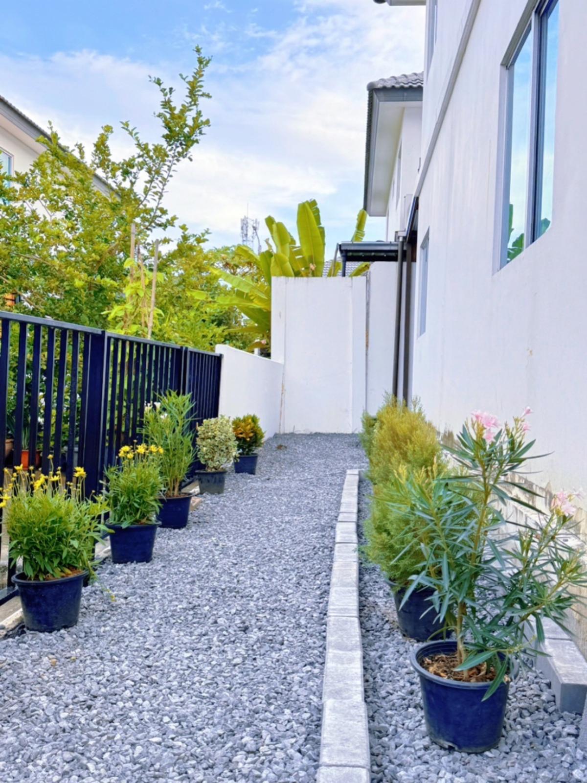 ขายทาวน์โฮมสมุทรปราการ สำโรง : ขายทาวน์เฮ้าส์/ทาวน์โฮม  บ้านพฤกษา 114/2 เทพารักษ์ - เมืองใหม่ฯ บางเพรียง บางบ่อ สมุทรปราการ CX-148218