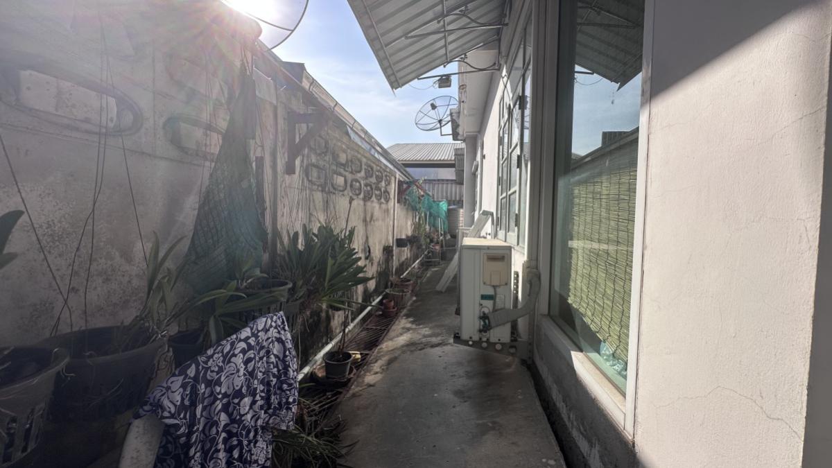 ขายบ้านบางนา แบริ่ง ลาซาล : ขายบ้านเดี่ยว หน้ากว้าง บางนา เขต บางนา กรุงเทพ CX-148313