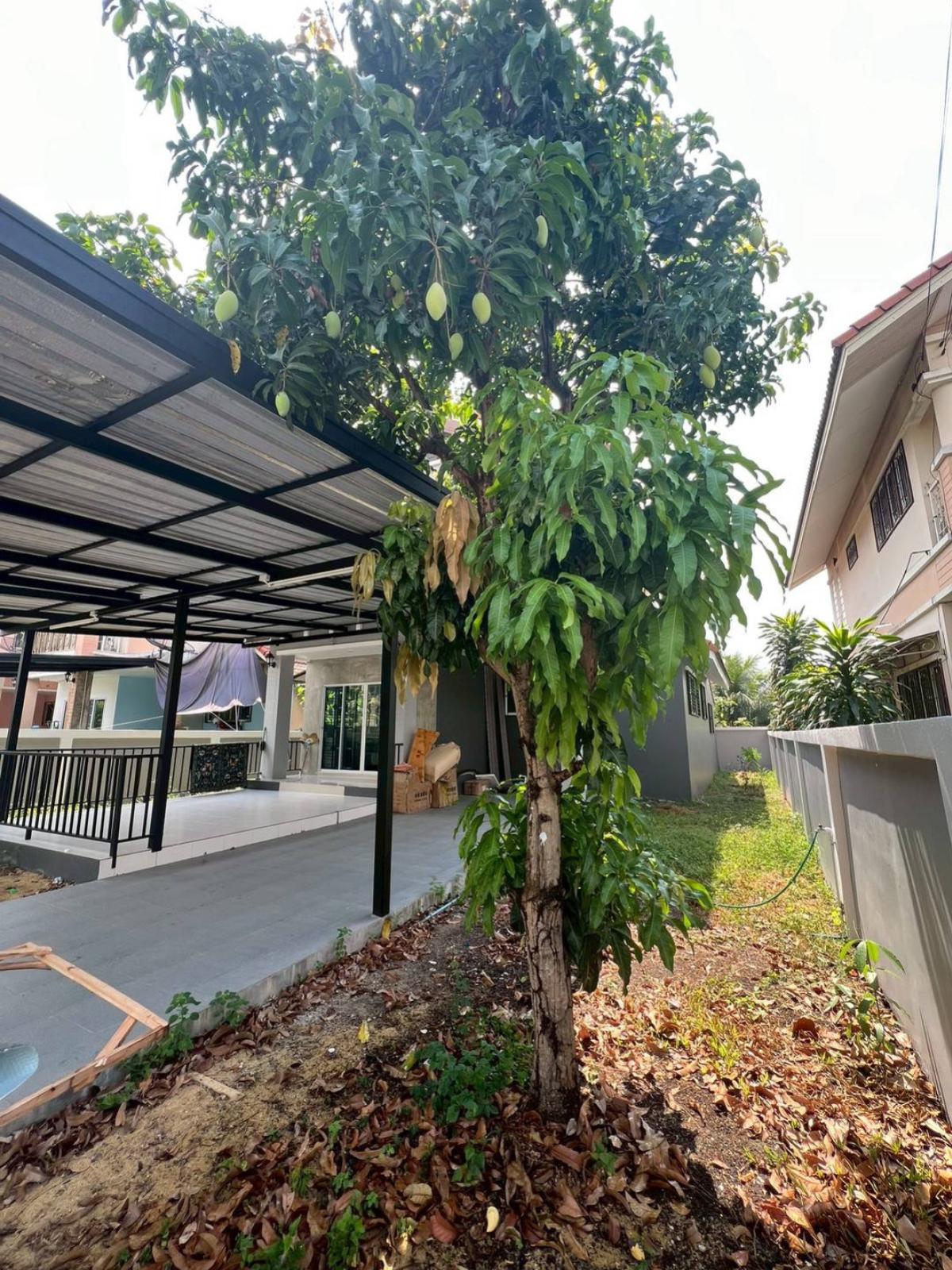 ขายบ้านปทุมธานี รังสิต ธรรมศาสตร์ : ขายบ้าน  วิสต้า วิลล์ คลอง 8 ลำลูกกา ลำลูกกา ปทุมธานี CX-147994