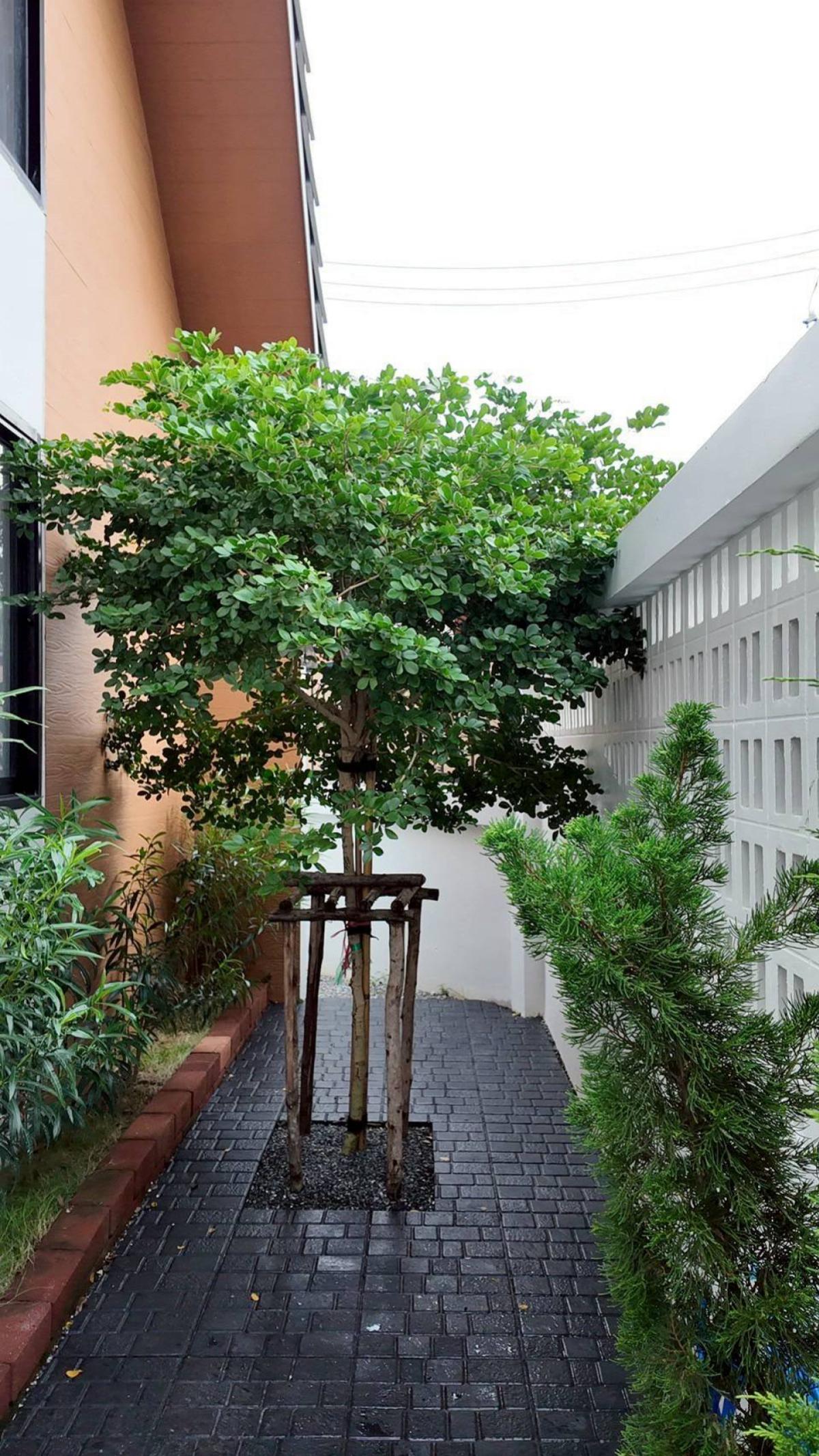 For SaleHousePattaya, Bangsaen, Chonburi : For Sale 2 storey detacted house pool villa for sale in Pattaya , Mueang Phata , Bang Lamung , Chon Buri , CX-147950