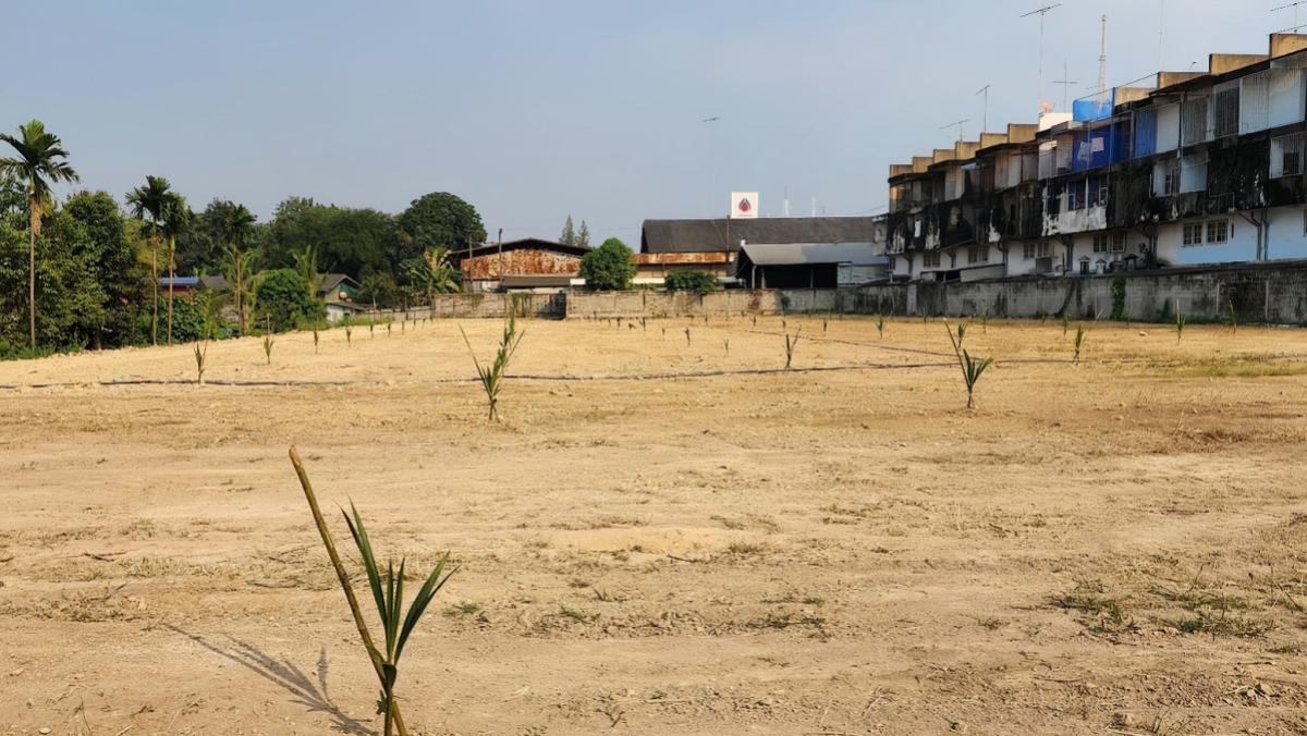 ขายที่ดินราชบุรี : ขายที่ดินเปล่า ติดถนนใหญ่ เพชรเกษม ราชบุรี ตำบลหลุมดิน ใจกลางเมือง ถมแล้ว CX-148090