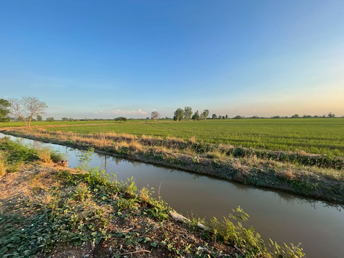 ขายที่ดินสระบุรี : ที่นา 7 ไร่ แปลงสวย ติดคลองชลประทาน ที่นาแปลงจัดรูป มีน้ำใช้ทั้งปี น้ำไม่ท่วม ตำบลบ้านกลับ อำเภอหนองโดน จังหวัดสระบุรี