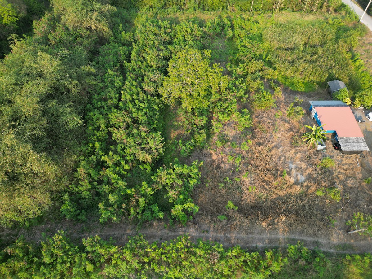 ขายที่ดินปทุมธานี รังสิต ธรรมศาสตร์ : ที่ดิน 5 ไร่ ใกล้สนามกอล์ฟ ใกล้โรงพยาบาล ใกล้แหล่งอำนวยความสะดวก ราคาพิเศษ ต่ำกว่าตลาด