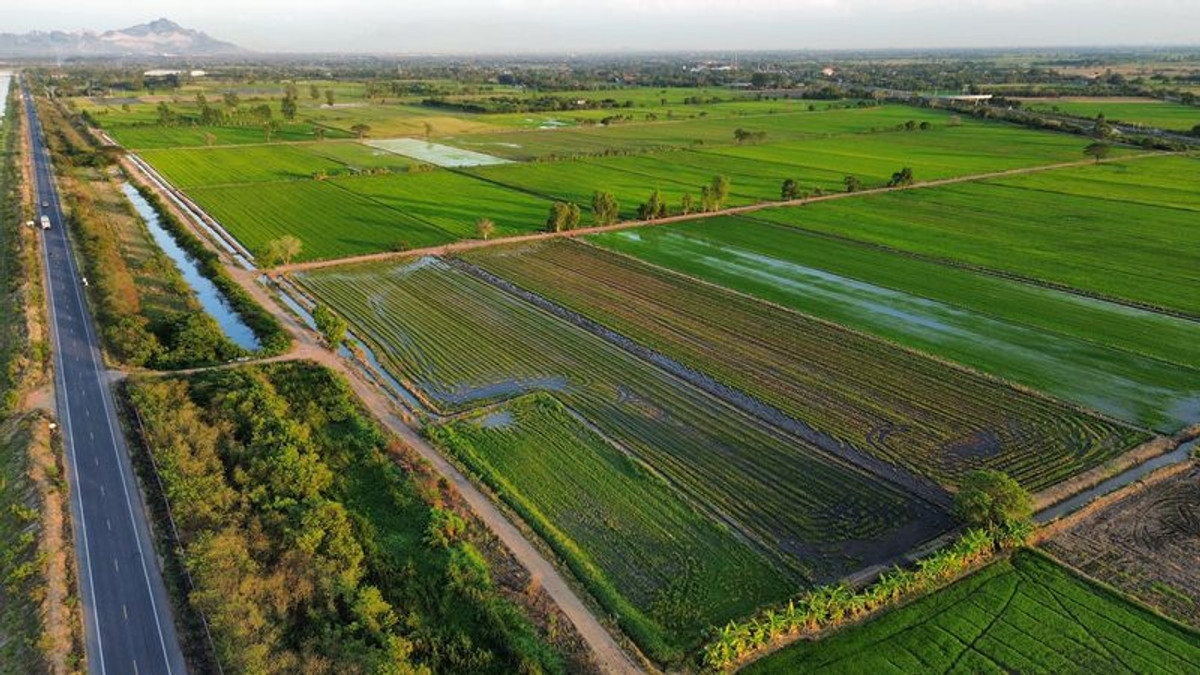 ขายที่ดินสระบุรี : ที่นา 7 ไร่ แปลงสวย ติดคลองชลประทาน ที่นาแปลงจัดรูป มีน้ำใช้ทั้งปี น้ำไม่ท่วม ตำบลบ้านกลับ อำเภอหนองโดน จังหวัดสระบุรี