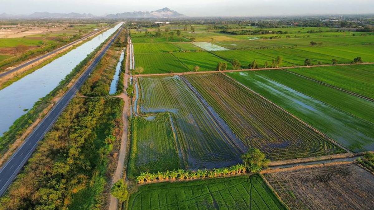 ขายที่ดินสระบุรี : ที่นา 7 ไร่ แปลงสวย ติดคลองชลประทาน ที่นาแปลงจัดรูป มีน้ำใช้ทั้งปี น้ำไม่ท่วม ตำบลบ้านกลับ อำเภอหนองโดน จังหวัดสระบุรี