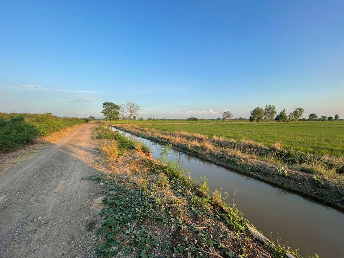 ขายที่ดินสระบุรี : ที่นา 7 ไร่ แปลงสวย ติดคลองชลประทาน ที่นาแปลงจัดรูป มีน้ำใช้ทั้งปี น้ำไม่ท่วม ตำบลบ้านกลับ อำเภอหนองโดน จังหวัดสระบุรี