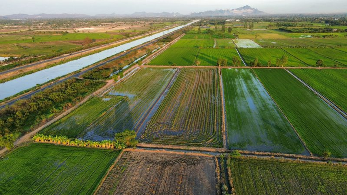 ขายที่ดินสระบุรี : ที่นา 7 ไร่ แปลงสวย ติดคลองชลประทาน ที่นาแปลงจัดรูป มีน้ำใช้ทั้งปี น้ำไม่ท่วม ตำบลบ้านกลับ อำเภอหนองโดน จังหวัดสระบุรี