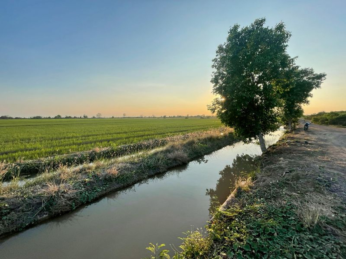 ขายที่ดินสระบุรี : ที่นา 7 ไร่ แปลงสวย ติดคลองชลประทาน ที่นาแปลงจัดรูป มีน้ำใช้ทั้งปี น้ำไม่ท่วม ตำบลบ้านกลับ อำเภอหนองโดน จังหวัดสระบุรี