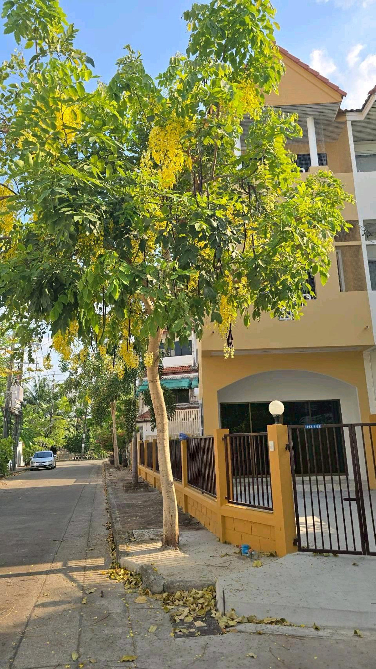 ให้เช่าบ้านมีนบุรี-ร่มเกล้า : ✨ บ้านสวย พร้อมอยู่ เฟอร์นิเจอร์ครบ เหมาะสำหรับอยู่อาศัยเป็นครอบครัว