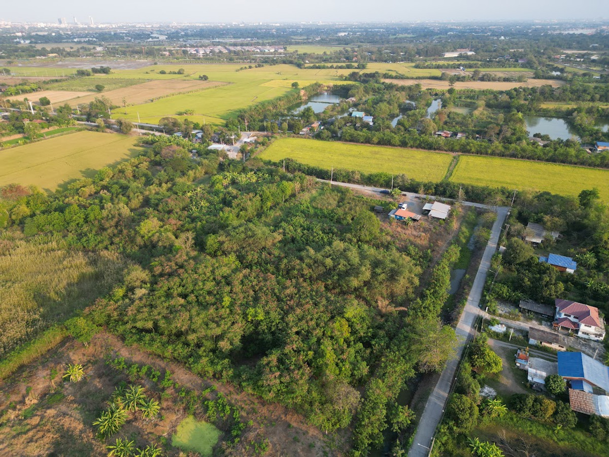 ขายที่ดินปทุมธานี รังสิต ธรรมศาสตร์ : ที่ดิน 5 ไร่ ใกล้สนามกอล์ฟ ใกล้โรงพยาบาล ใกล้แหล่งอำนวยความสะดวก ราคาพิเศษ ต่ำกว่าตลาด