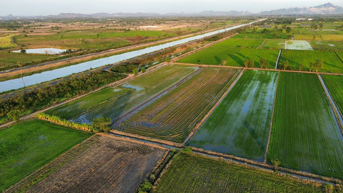 ขายที่ดินสระบุรี : ที่นา 7 ไร่ แปลงสวย ติดคลองชลประทาน ที่นาแปลงจัดรูป มีน้ำใช้ทั้งปี น้ำไม่ท่วม ตำบลบ้านกลับ อำเภอหนองโดน จังหวัดสระบุรี