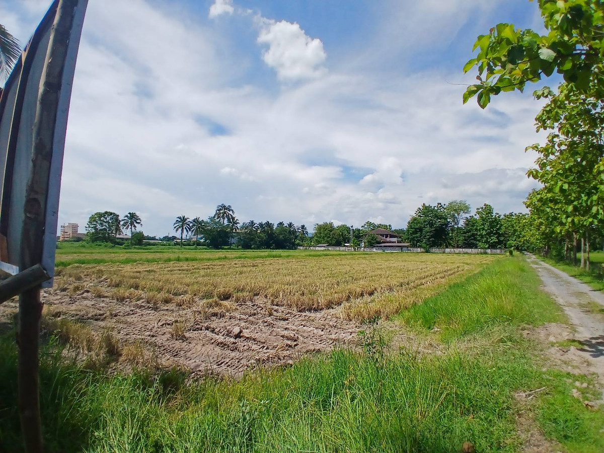 ขายที่ดินเชียงใหม่ : ขาย ที่ดิน เชียงใหม่ แปลงสวย ใกล้มหาลัยแม่โจ้