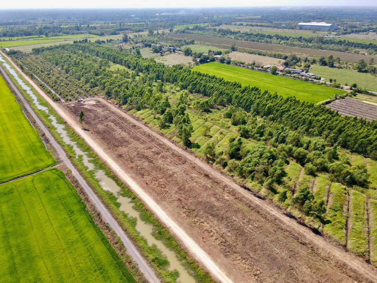 ขายที่ดินปทุมธานี รังสิต ธรรมศาสตร์ : 📢 ขายที่สวยทำเลดี อนาคตไกล คลอง 9 ต.บึงชำอ้อ อ.หนองเสือ ปทุมธานี