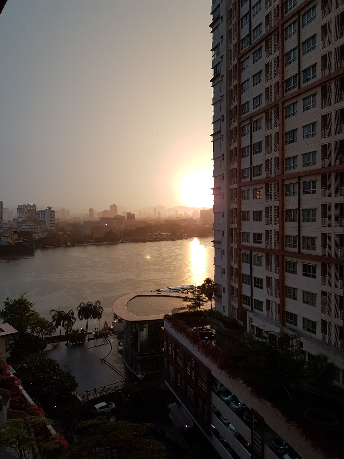 For SaleCondo : Owner posted ขายคอนโดริมแม่น้ำเจ้าพระยา (ขายถูก) ไอวี่ ริเวอร์ ราษฎร์บูรณะ Ivy river ratburana Studio 30 ตรม. 