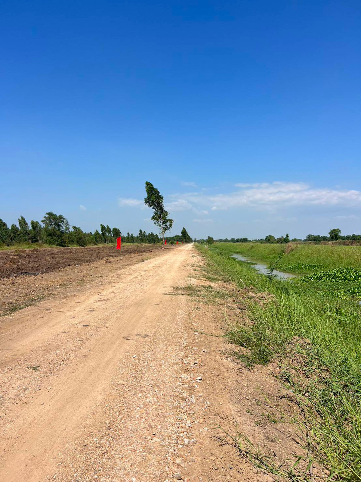 ขายที่ดินปทุมธานี รังสิต ธรรมศาสตร์ : 📢 ขายที่สวยทำเลดี อนาคตไกล คลอง 9 ต.บึงชำอ้อ อ.หนองเสือ ปทุมธานี