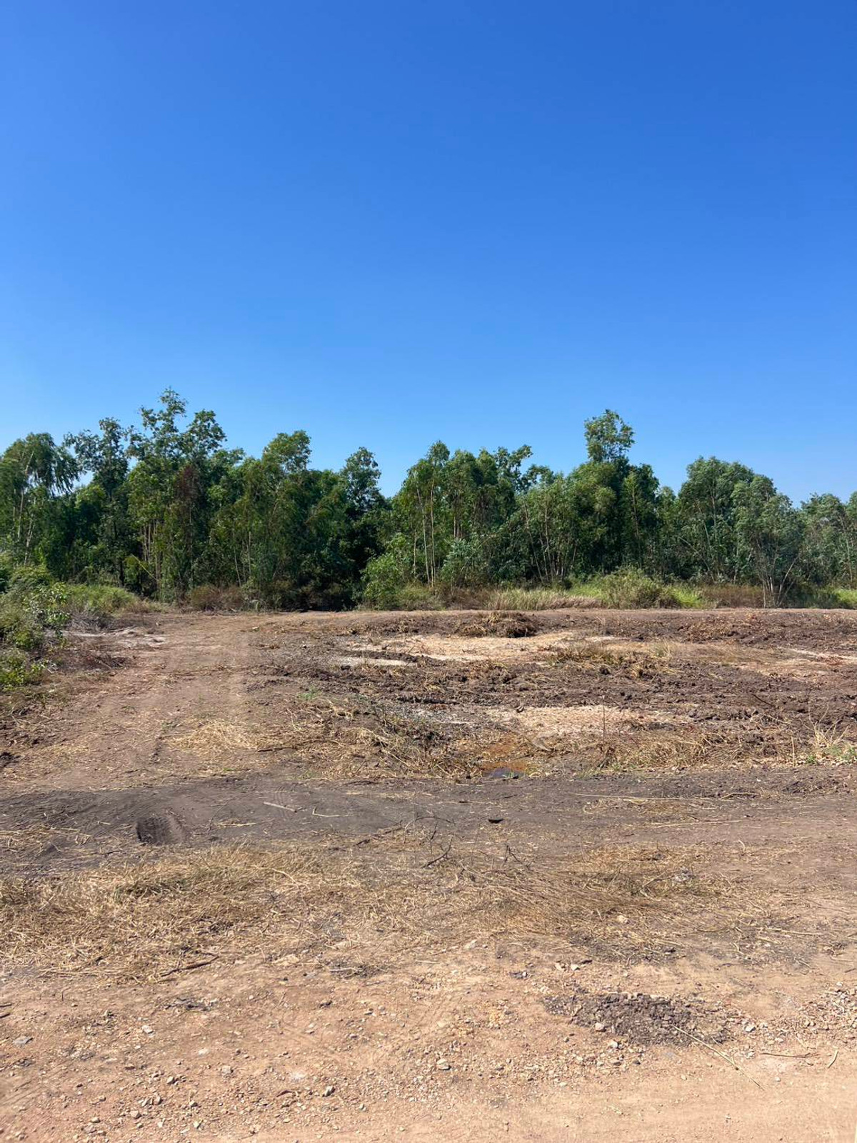 ขายที่ดินปทุมธานี รังสิต ธรรมศาสตร์ : 📢 ขายที่สวยทำเลดี อนาคตไกล คลอง 9 ต.บึงชำอ้อ อ.หนองเสือ ปทุมธานี