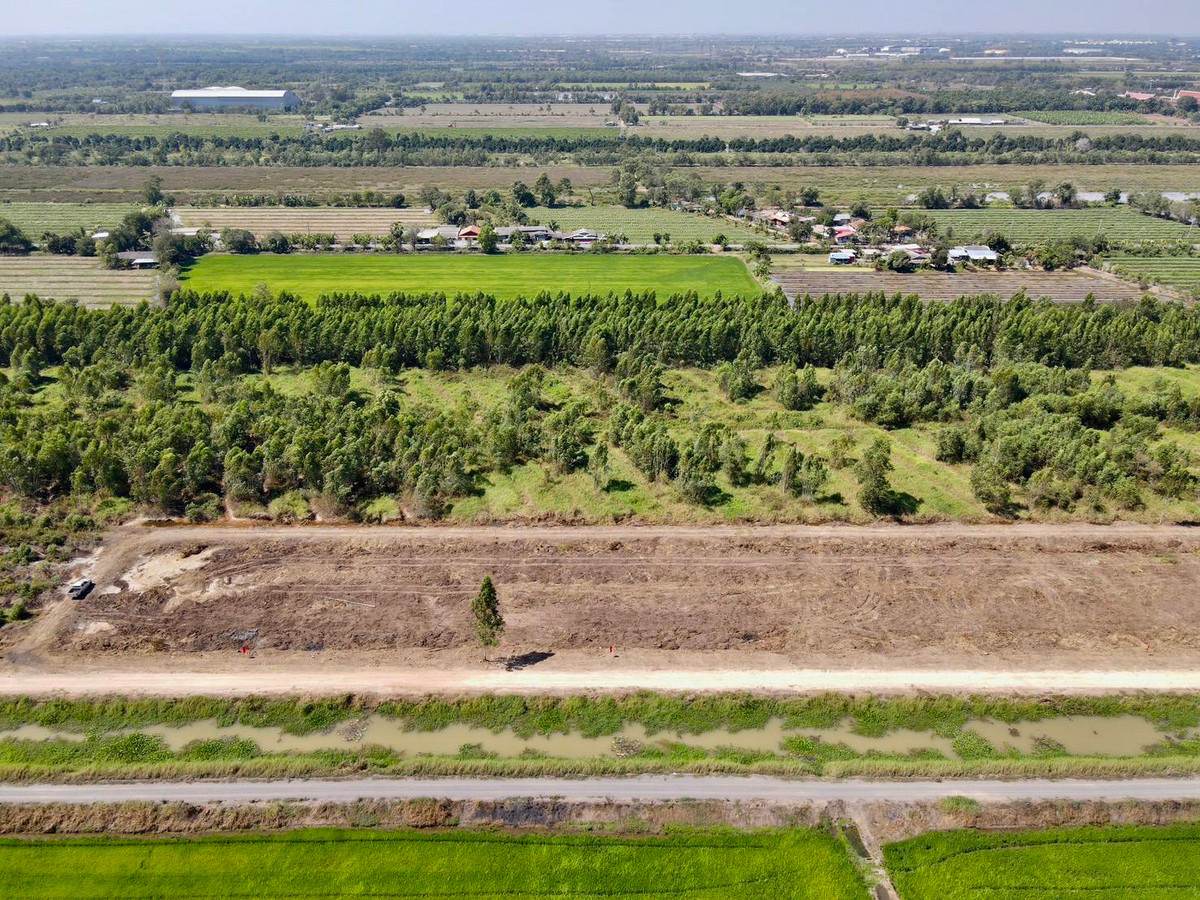 ขายที่ดินปทุมธานี รังสิต ธรรมศาสตร์ : 📢 ขายที่สวยทำเลดี อนาคตไกล คลอง 9 ต.บึงชำอ้อ อ.หนองเสือ ปทุมธานี