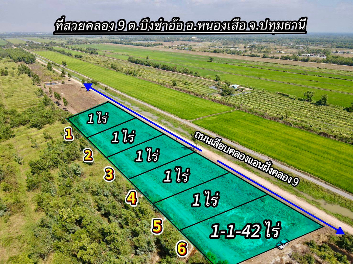 ขายที่ดินปทุมธานี รังสิต ธรรมศาสตร์ : 📢 ขายที่สวยทำเลดี อนาคตไกล คลอง 9 ต.บึงชำอ้อ อ.หนองเสือ ปทุมธานี