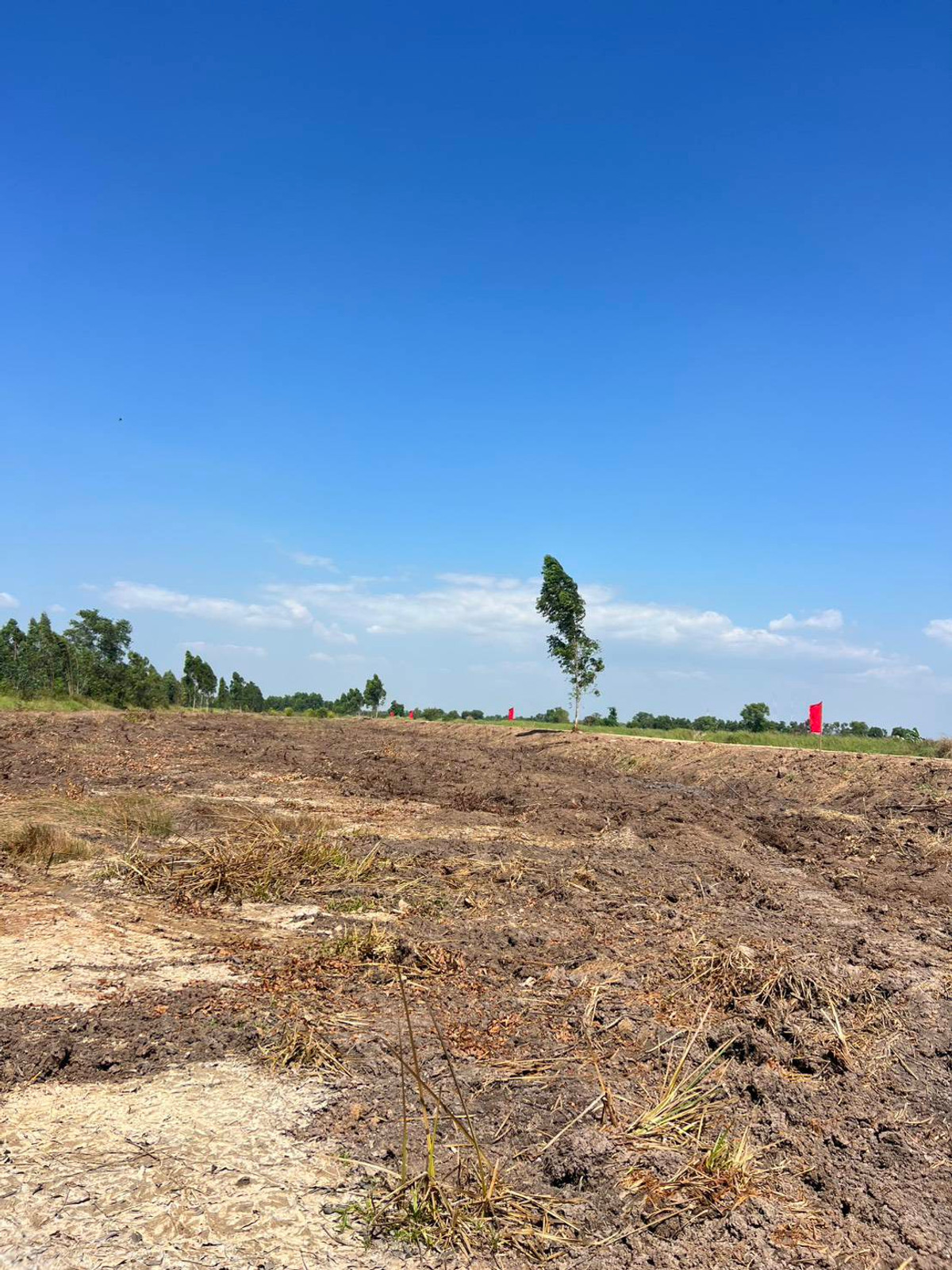 ขายที่ดินปทุมธานี รังสิต ธรรมศาสตร์ : 📢 ขายที่สวยทำเลดี อนาคตไกล คลอง 9 ต.บึงชำอ้อ อ.หนองเสือ ปทุมธานี