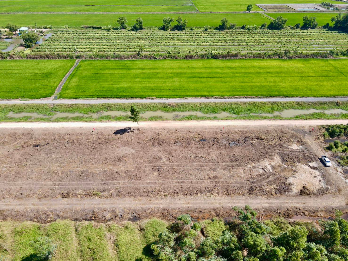 ขายที่ดินปทุมธานี รังสิต ธรรมศาสตร์ : 📢 ขายที่สวยทำเลดี อนาคตไกล คลอง 9 ต.บึงชำอ้อ อ.หนองเสือ ปทุมธานี