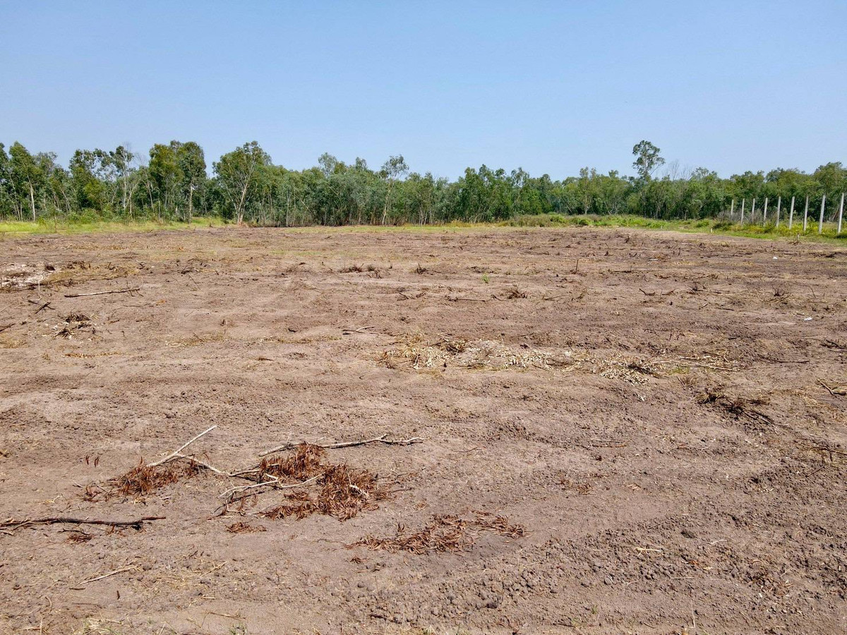 ขายที่ดินนครนายก : 📢 ขายที่ดินราคาถูก ทำเลดี คลอง 14 องครักษ์ นครนายก