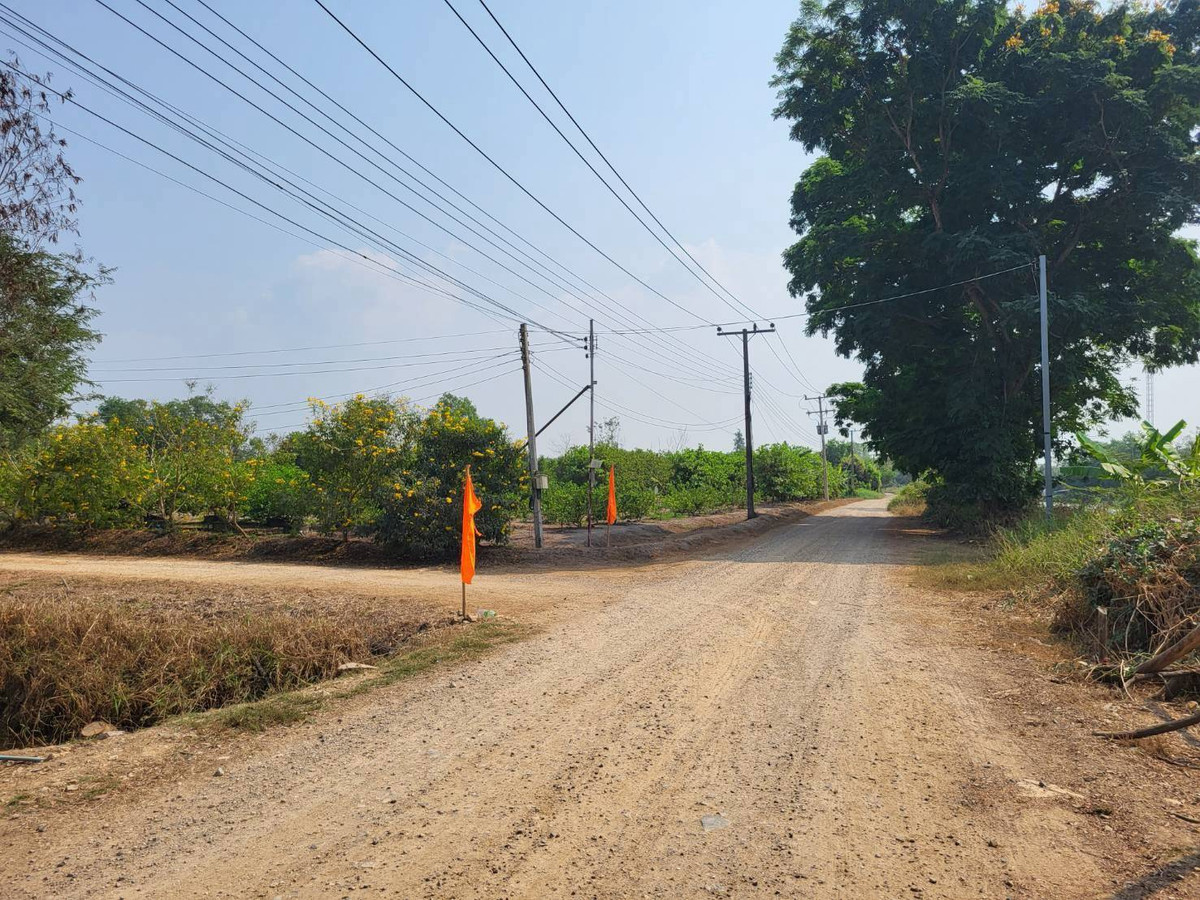 ขายที่ดินนครนายก : 📢 ขายที่ดินราคาถูก ทำเลดี คลอง 14 องครักษ์ นครนายก