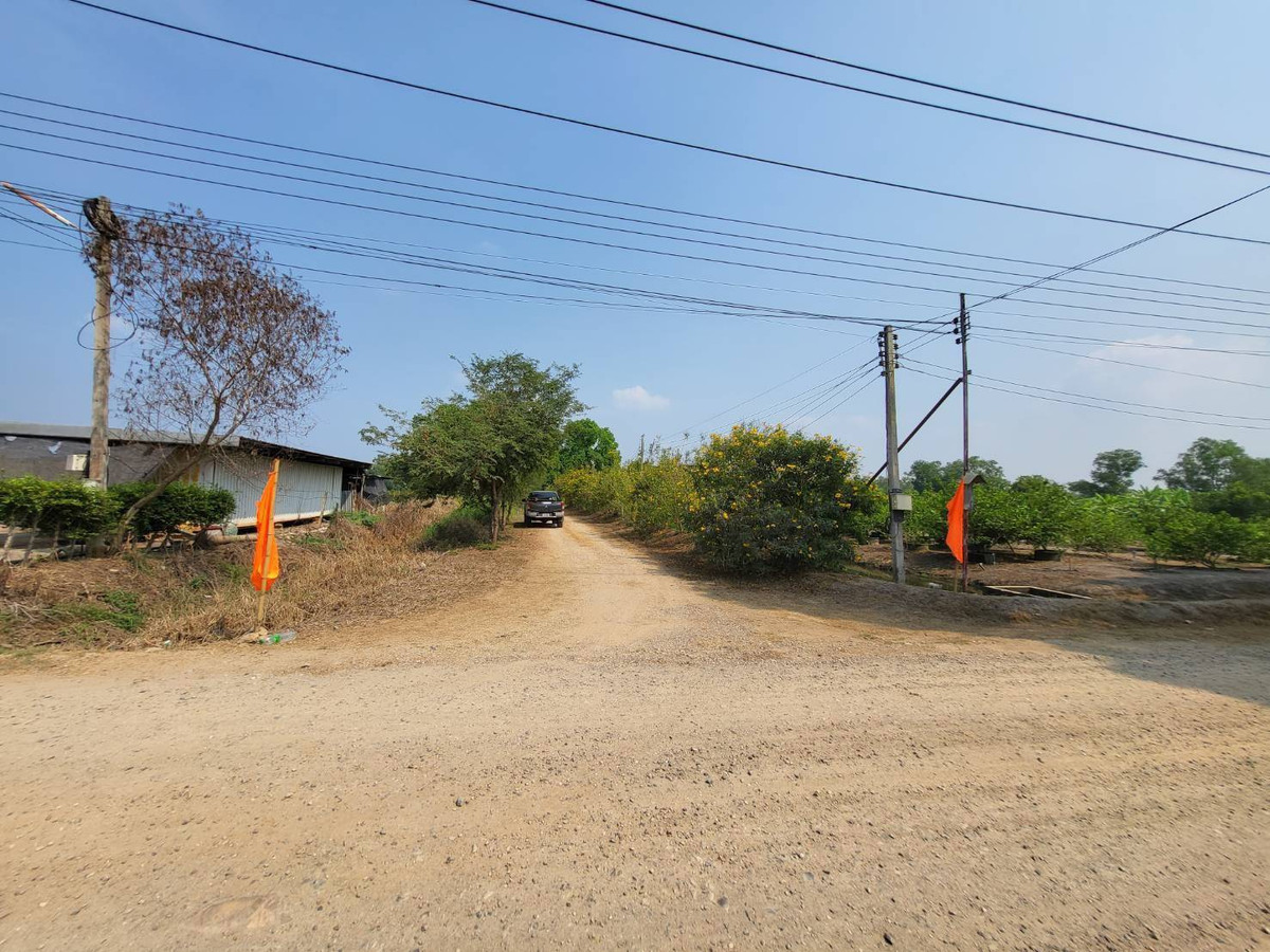 ขายที่ดินนครนายก : 📢 ขายที่ดินราคาถูก ทำเลดี คลอง 14 องครักษ์ นครนายก