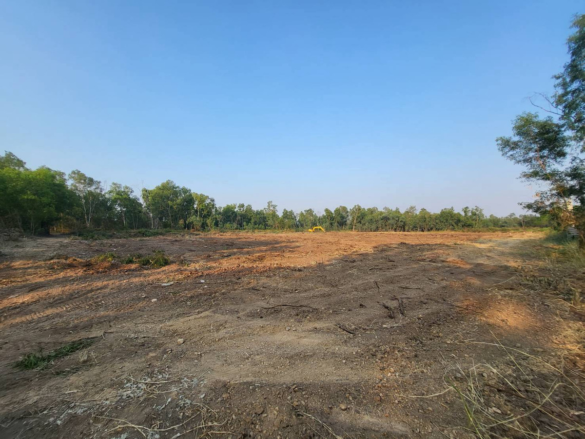 ขายที่ดินนครนายก : 📢 ขายที่ดินราคาถูก ทำเลดี คลอง 14 องครักษ์ นครนายก