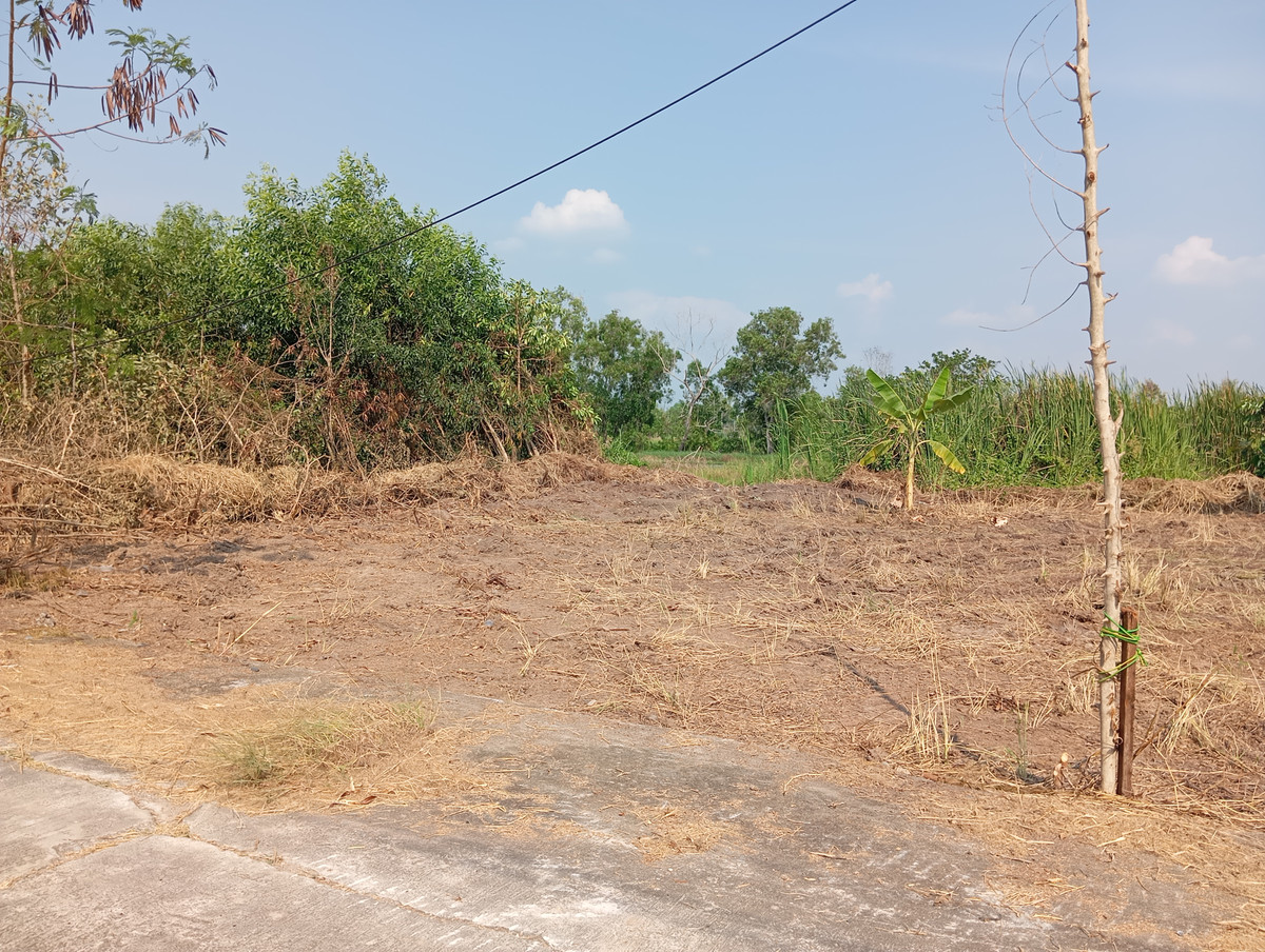 ขายที่ดินปทุมธานี รังสิต ธรรมศาสตร์ : กำเงินแสนมาซื้อได้เลย ขายที่ดิน เลียบคลอง 11 อ.หนองเสือ จ.ปทุมธานี