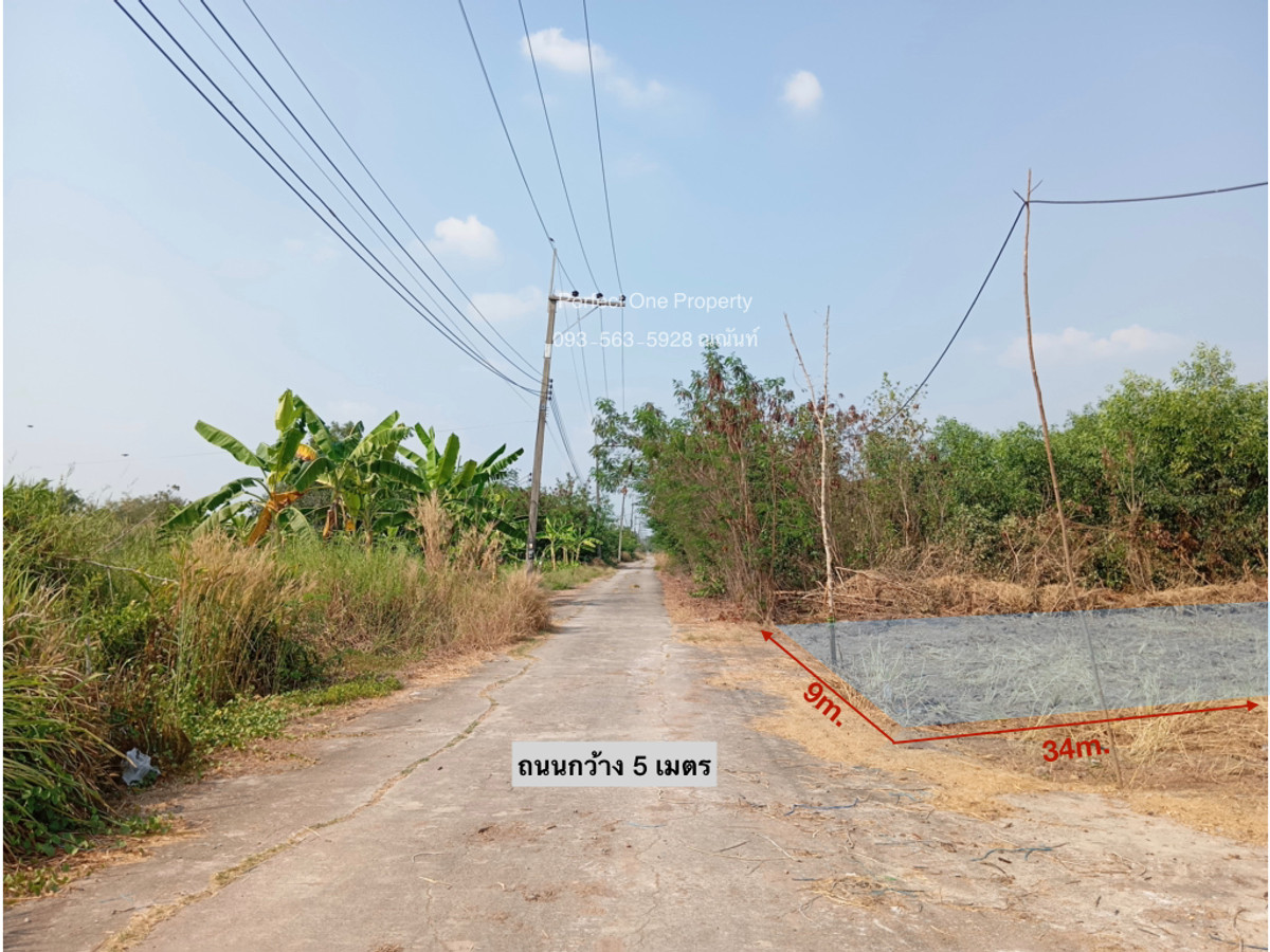For SaleLandPathum Thani,Rangsit, Thammasat : Bring a hundred thousand baht to buy it. Land for sale along Khlong 11, Nong Suea District, Pathum Thani Province.