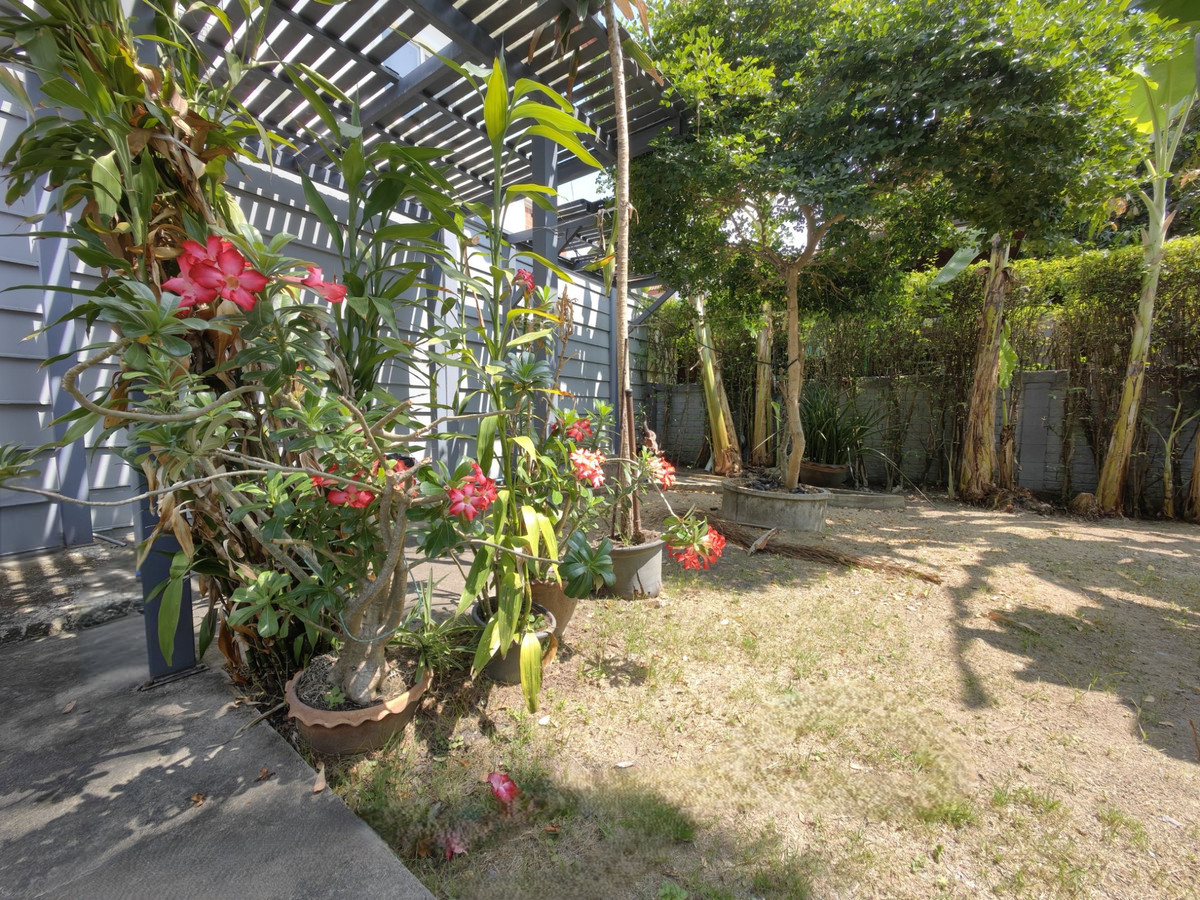 ขายบ้านเกษตรศาสตร์ รัชโยธิน : ขายบ้านเดี่ยว เดอะแพลนท์ วงแหวน-รามอินทรา เนื้อที่ 80.1 ตรว. หลังริม ทำเลดี การเดินทางสะดวก ใกล้ทางด่วน ใกล้แฟชั่น ใกล้แจ๊สคู้บอน