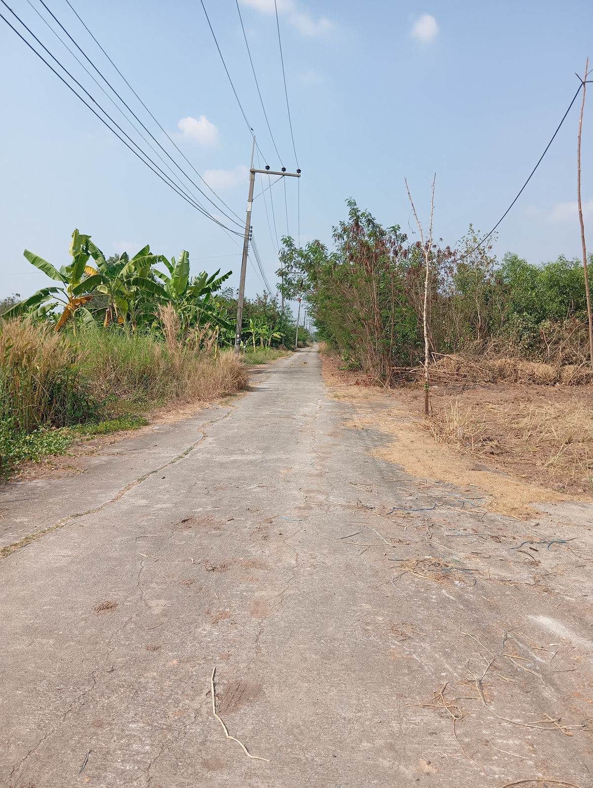 ขายที่ดินปทุมธานี รังสิต ธรรมศาสตร์ : กำเงินแสนมาซื้อได้เลย ขายที่ดิน เลียบคลอง 11 อ.หนองเสือ จ.ปทุมธานี