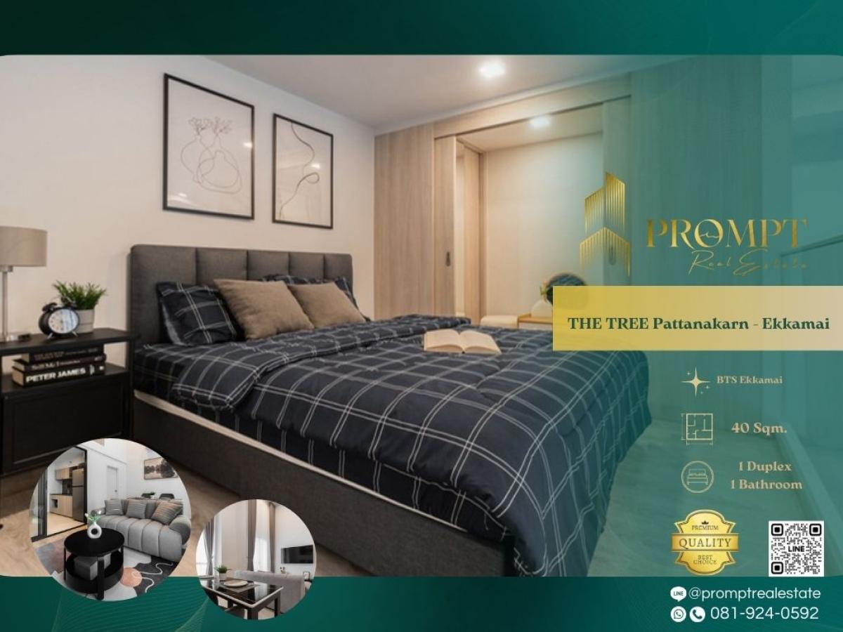 For RentCondoRama9, Petchburi, RCA : ST13816 - THE TREE Pattanakarn - Ekkamai :  เดอะทรี พัฒนาการ - เอกมัย : THE TREE Pattanakarn - Ekkamai :  เดอะทรี พัฒนาการ - เอกมัย -