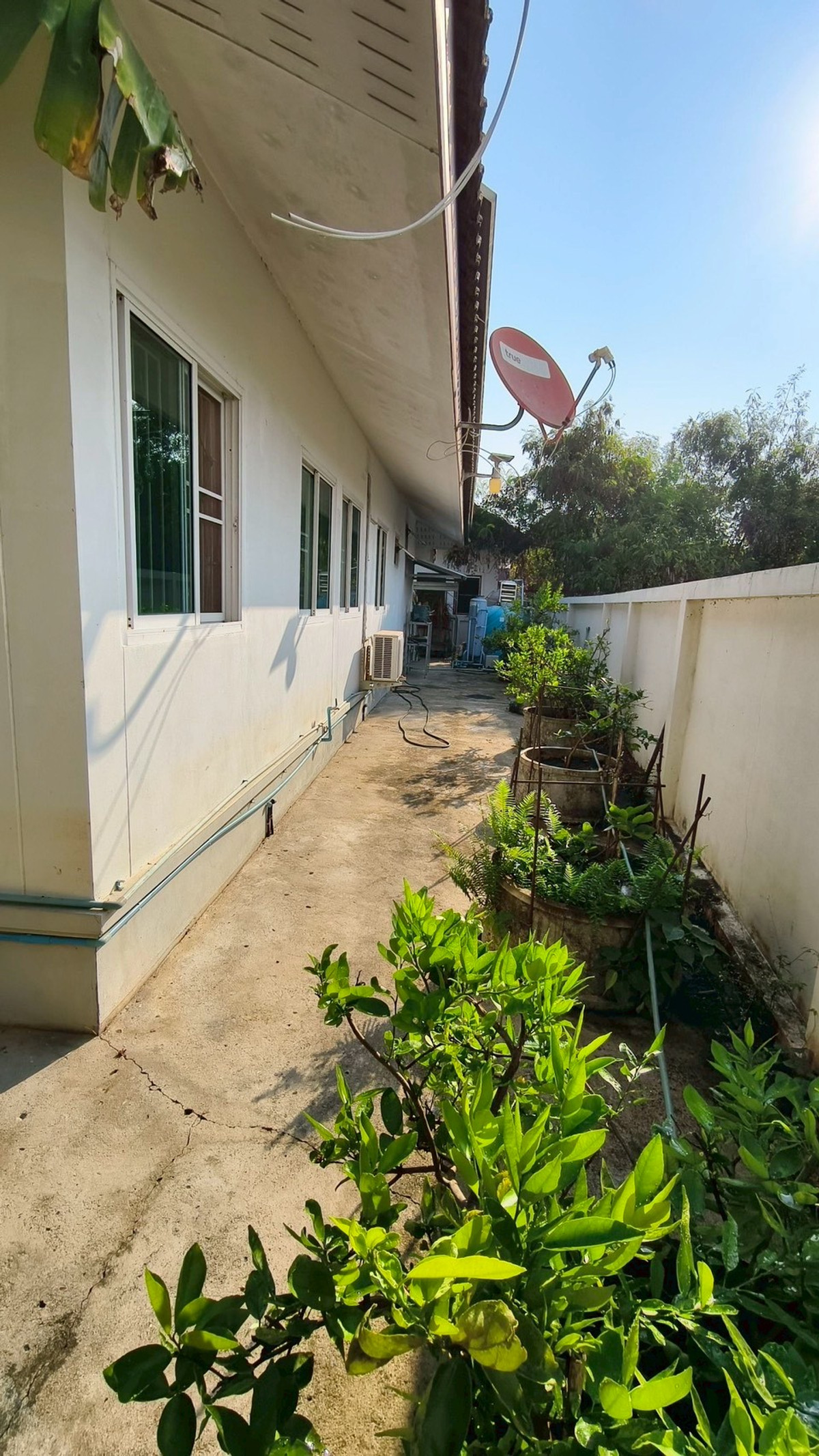 ขายบ้านเชียงใหม่ : 95877 - ขายบ้านเดี่ยวชั้นเดียว พร้อมระบบ Solar Cell ขนาดใหญ่ ทำเลดี ใกล้โรงเรียนนานาชาติ เชียงใหม่