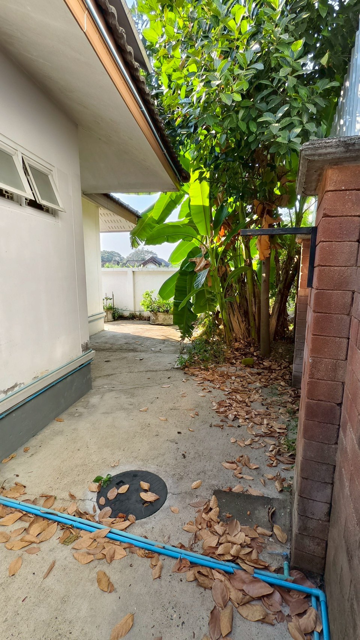 ขายบ้านเชียงใหม่ : 95877 - ขายบ้านเดี่ยวชั้นเดียว พร้อมระบบ Solar Cell ขนาดใหญ่ ทำเลดี ใกล้โรงเรียนนานาชาติ เชียงใหม่