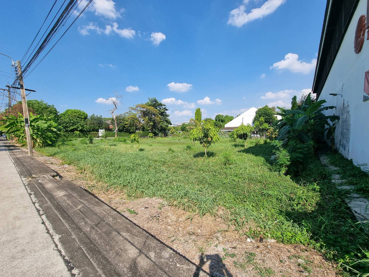 For SaleLandRama5, Ratchapruek, Bangkruai : Land Tiwanon 37 / (For Sale), Land Tiwanon 37 / (FOR SALE) AOM086