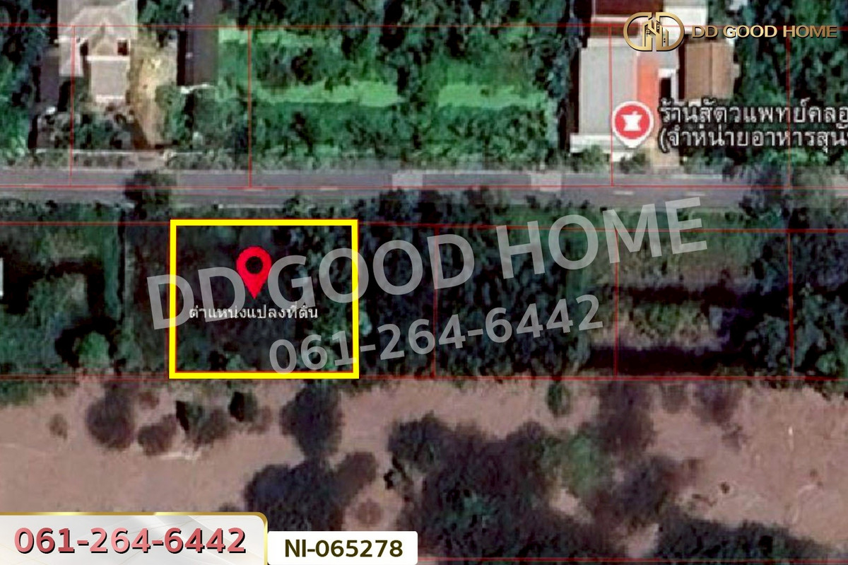 ขายที่ดินปทุมธานี รังสิต ธรรมศาสตร์ : NI-065278 ที่ดินคลองหก 200 ตร.ว. ปทุมธานี ใกล้มหาวิทยาลัยเทคโนโลยีราชมงคลธัญบุรี