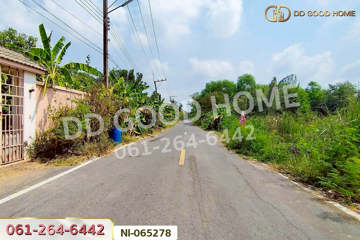 ขายที่ดินปทุมธานี รังสิต ธรรมศาสตร์ : NI-065278 ที่ดินคลองหก 200 ตร.ว. ปทุมธานี ใกล้มหาวิทยาลัยเทคโนโลยีราชมงคลธัญบุรี