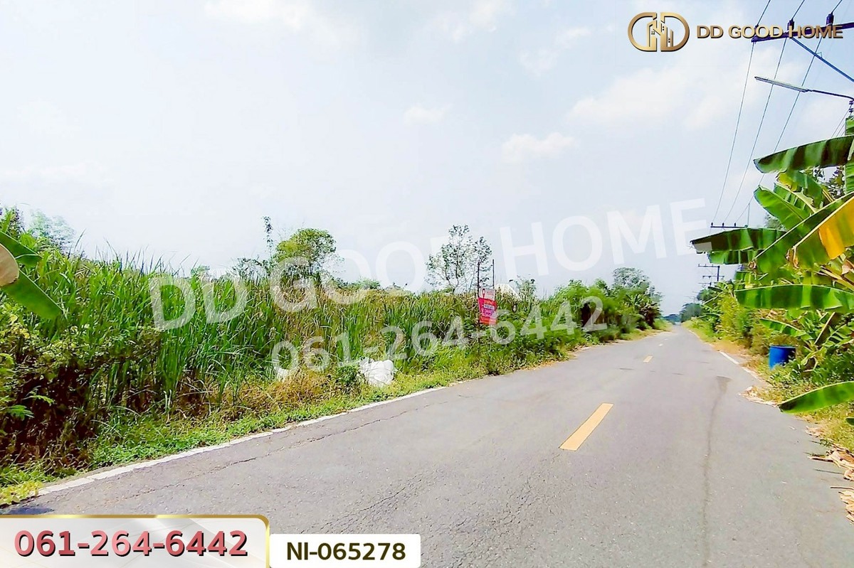 ขายที่ดินปทุมธานี รังสิต ธรรมศาสตร์ : NI-065278 ที่ดินคลองหก 200 ตร.ว. ปทุมธานี ใกล้มหาวิทยาลัยเทคโนโลยีราชมงคลธัญบุรี