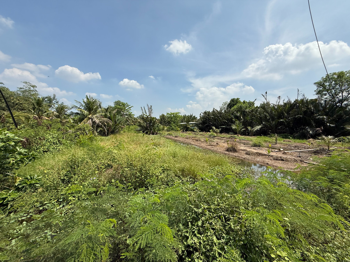 ขายที่ดินราษฎร์บูรณะ สุขสวัสดิ์ : ขาย ที่ดิน สวยหายาก ติดแม่น้ำเจ้าพระยา บางกระเจ้า พระประแดง สมุทรปราการ